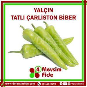 Yalçın Çarliston Biber Tohumu 1000 Adet