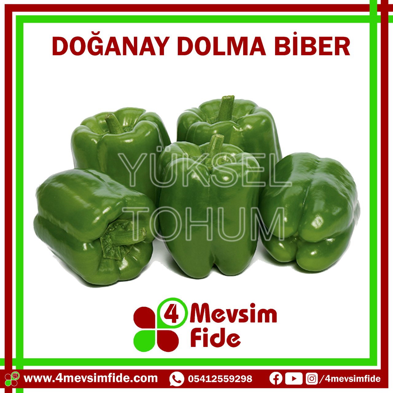 Doğanay F1 Dolma Biber Tohumu 1000 Adet