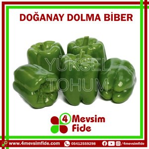 Doğanay F1 Dolma Biber Tohumu 1000 Adet