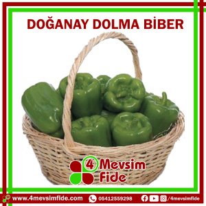 Doğanay F1 Dolma Biber Tohumu 1000 Adet