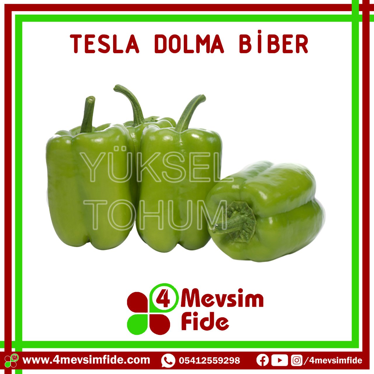 Tesla Dolma Biber Tohumu 1000 Adet