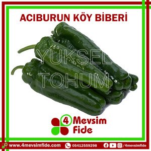 Acıburun F1 Acı Köy Biberi Fidesi