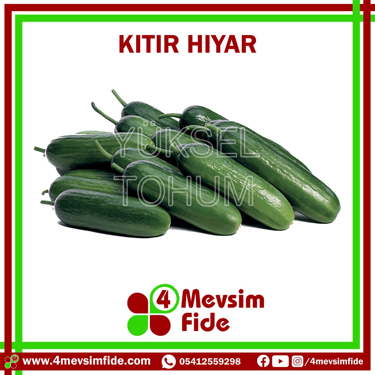 Kıtır Badem Hıyar Tohumu 500 Adet