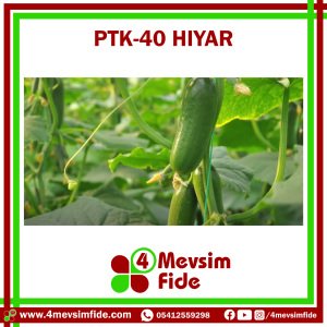 PTK 40 F1 Hıyar Tohumu 500 Adet