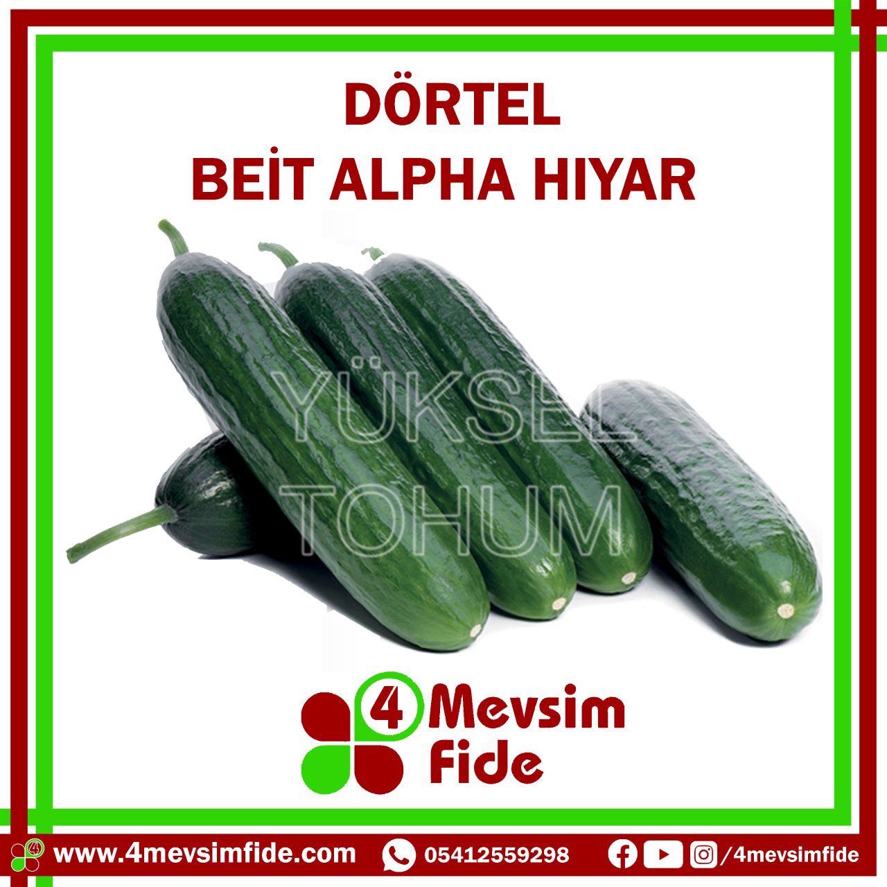 Dörtel Beit Alpha Tipi Hıyar Tohumu 500 Adet