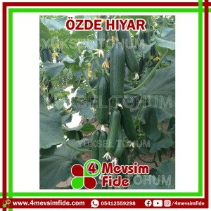 Özde F1 Hıyar Tohumu 500 Adet