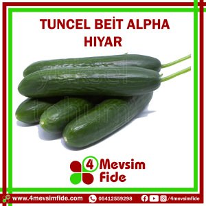 Tuncel Beit Alpha Hıyar Tohumu 1000 Adet