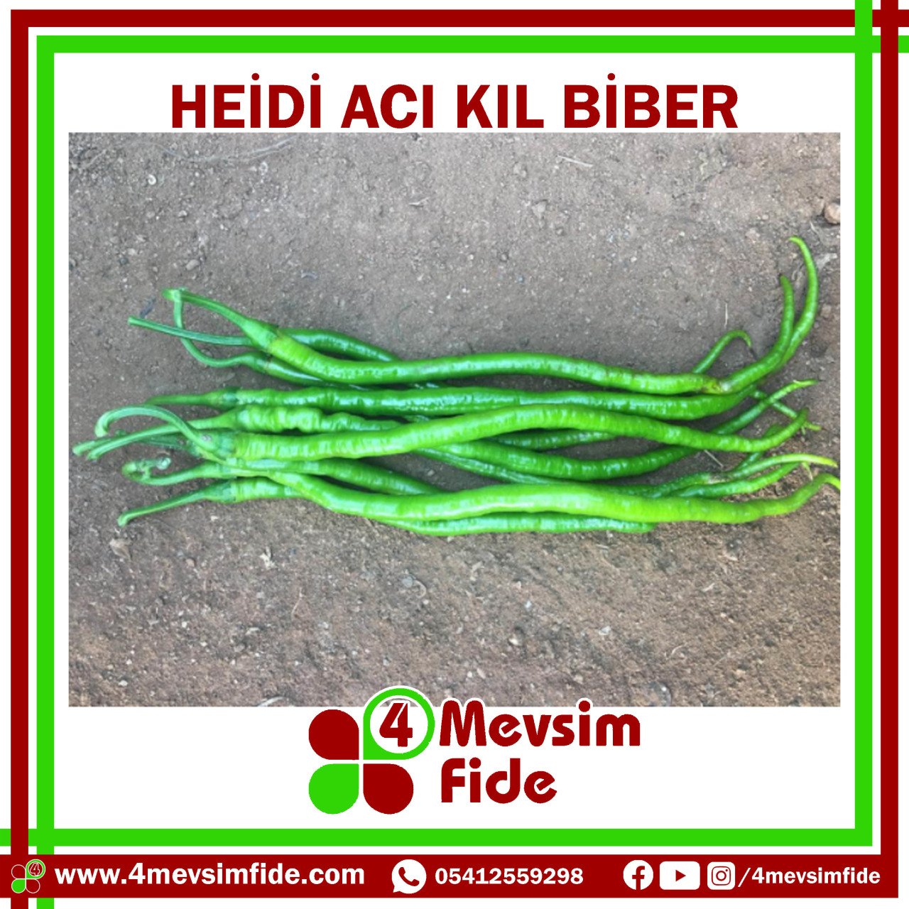 Heidi F1 Acı Kıl Biber Fidesi