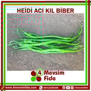 Heidi F1 Acı Kıl Biber Fidesi