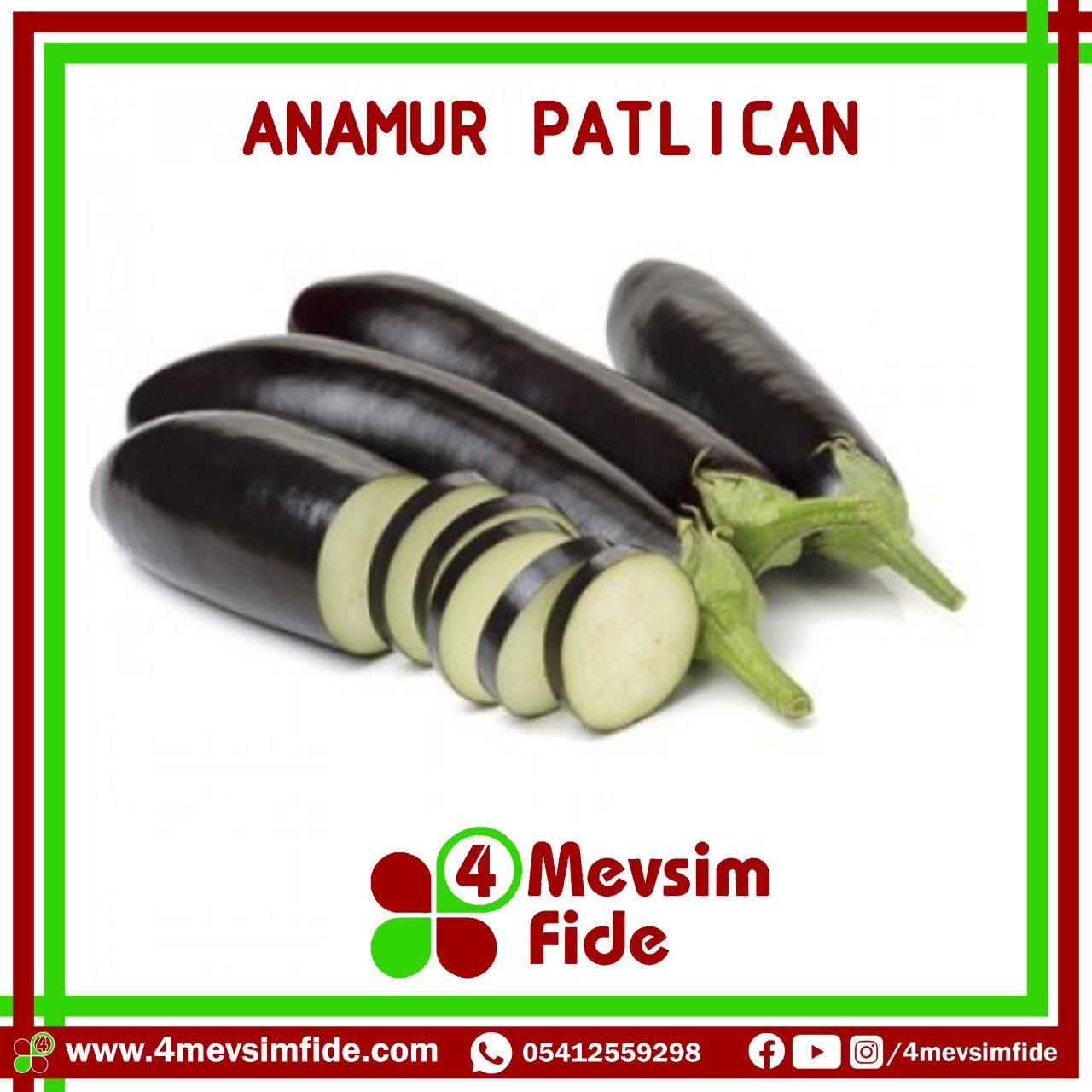 Hobi Patlıcan Fidesi Anamur F1