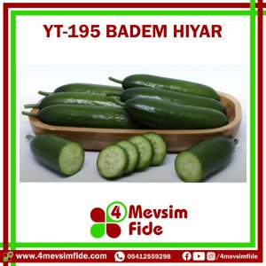 Hobi Hıyar Çengelköy YT-195 F1 Badem Hıyar Fidesi