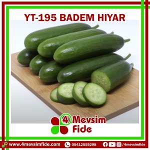 Hobi Hıyar Çengelköy YT-195 F1 Badem Hıyar Fidesi