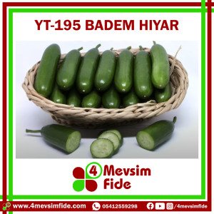 Hobi Hıyar Çengelköy YT-195 F1 Badem Hıyar Fidesi