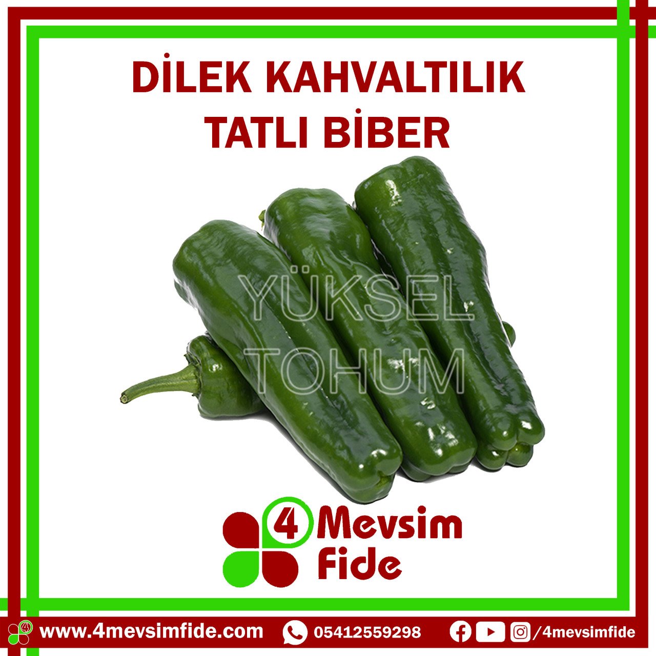 Hobi Biber Üçburun Dilek F1 Biber Fidesi