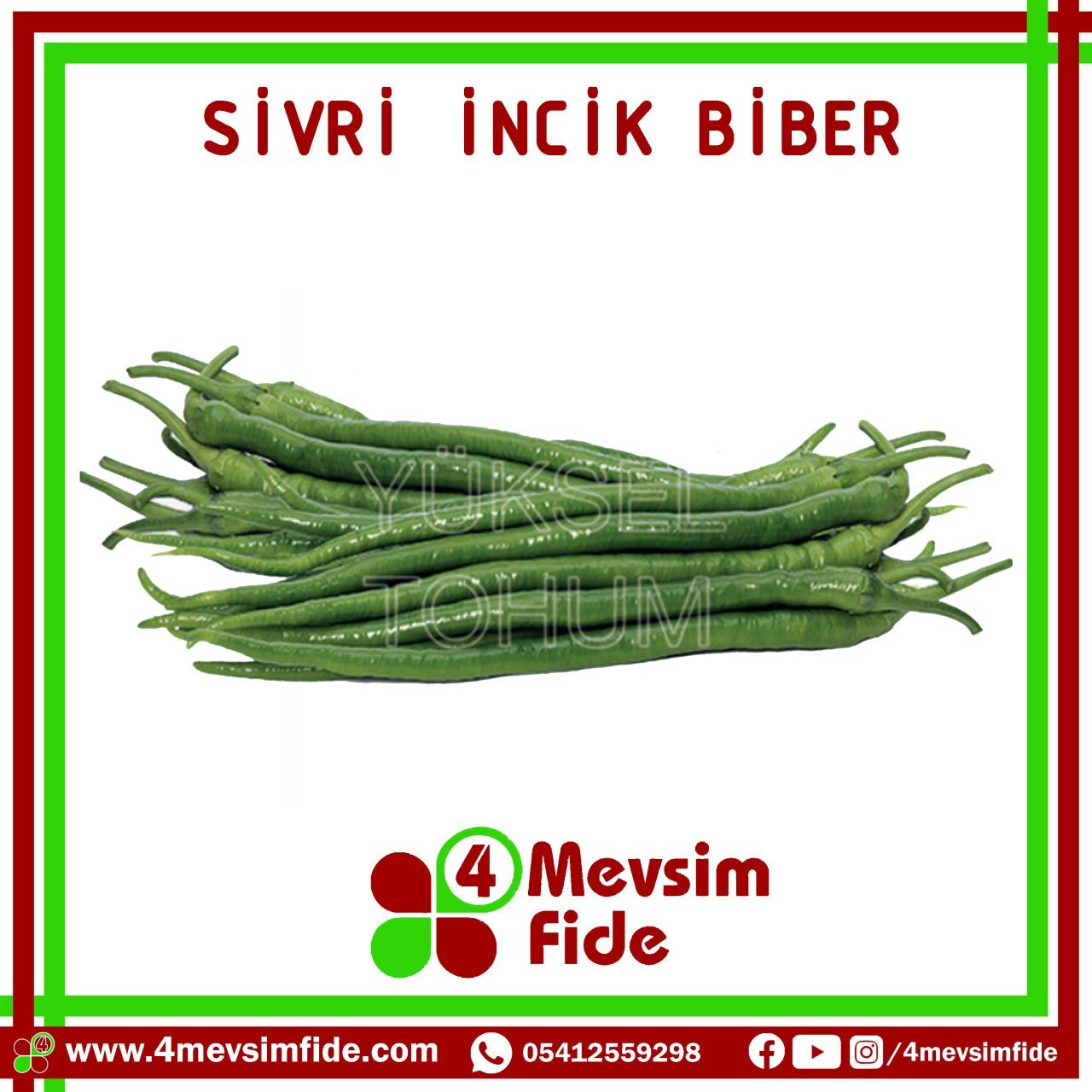 Hobi Biber Kıl Tatlı İncik F1 Biber Fidesi