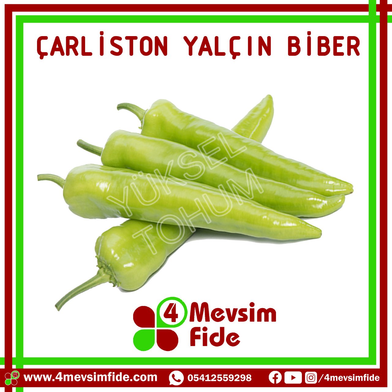 Hobi Biber Çarliston Yalçın F1 Biber Fidesi