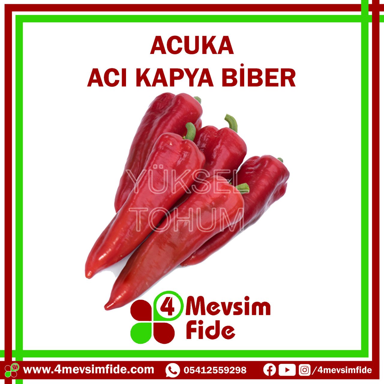 Hobi Biber Kapya Acı Acuka F1 Biber Fidesi