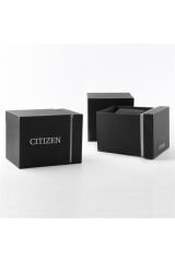 Citizen BF2013-56PE Erkek Kol Saati Bf2013-56pe