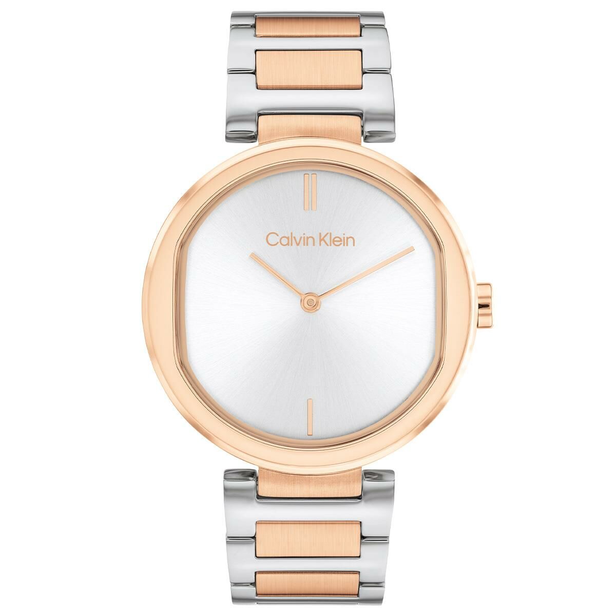 Calvin Klein CK25200251 Kadın Kol Saati