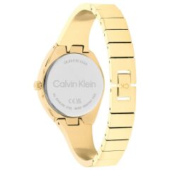 Calvin Klein CK25200235 Kadın Kol Saati