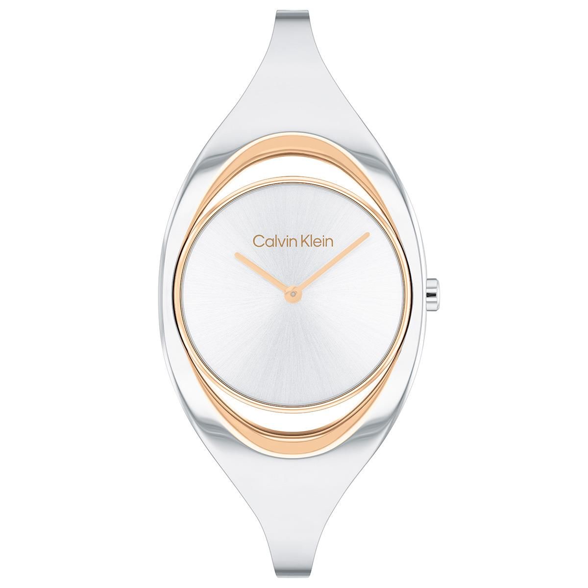 Calvin Klein CK25200393 Kadın Kol Saati
