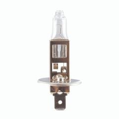 Wolfram H1 Ampul Standart Işık 12V 55W