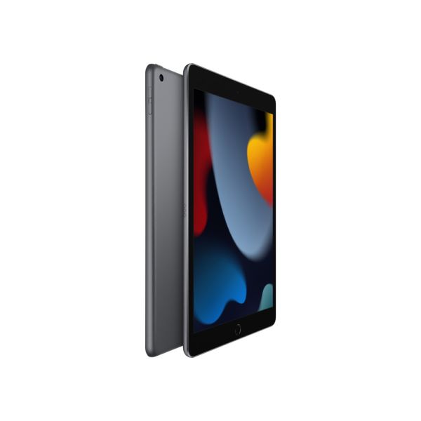 iPad 9.Nesil Wi-Fi 64 GB 10.2''Uzay Grisi Tablet