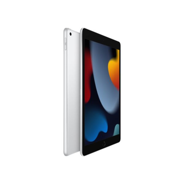iPad 9.Nesil WiFi 256GB 10.2'' Gümüş Tablet