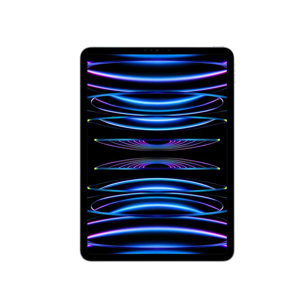 iPad Pro 11 (2022) WF 1TB Gümüş Tablet