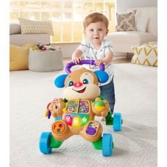 Fisher Price Eğitici Köpekçik Yürüteç FTG10