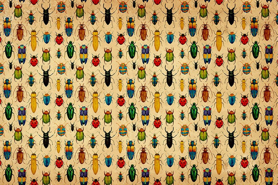 Sevimli Böcekler ve Uğur Böceği Duvar Kağıdı