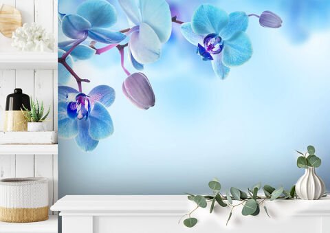 Mavi Orkideler Çiçekli Duvar Kağıdı
