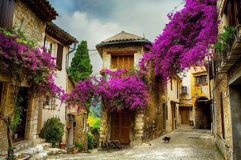 Mor Lavantalı Provence Sokakları Duvar Kağıdı