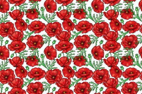 Kırmızı Haşhaş Çiçekleri Duvar Kağıdı