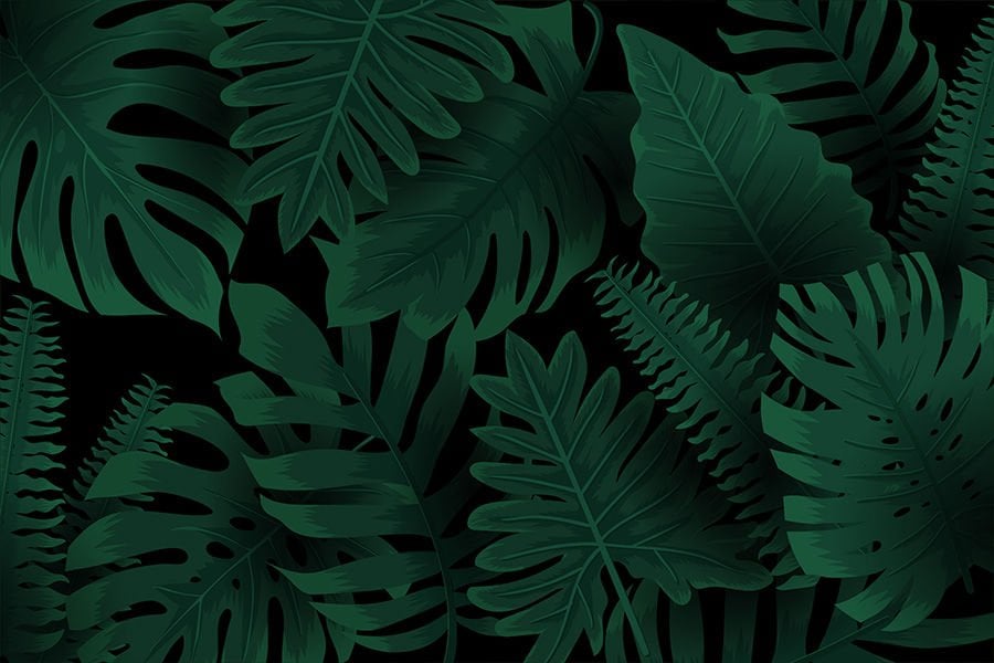 Tropikal Orman Yaprakları Salon Duvar Kağıdı