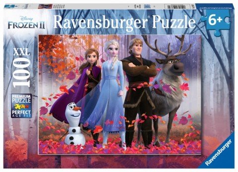 100p Puzzle WD Frozen2