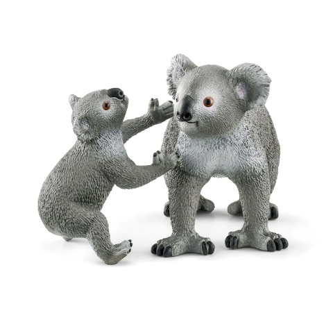 Koala Anne Bebek