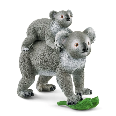 Koala Anne Bebek