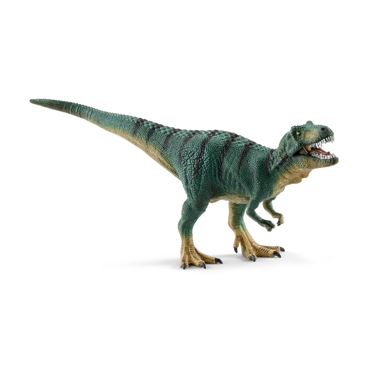 Yavru T Rex