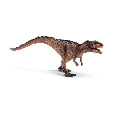 Yavru Giganotosaurus