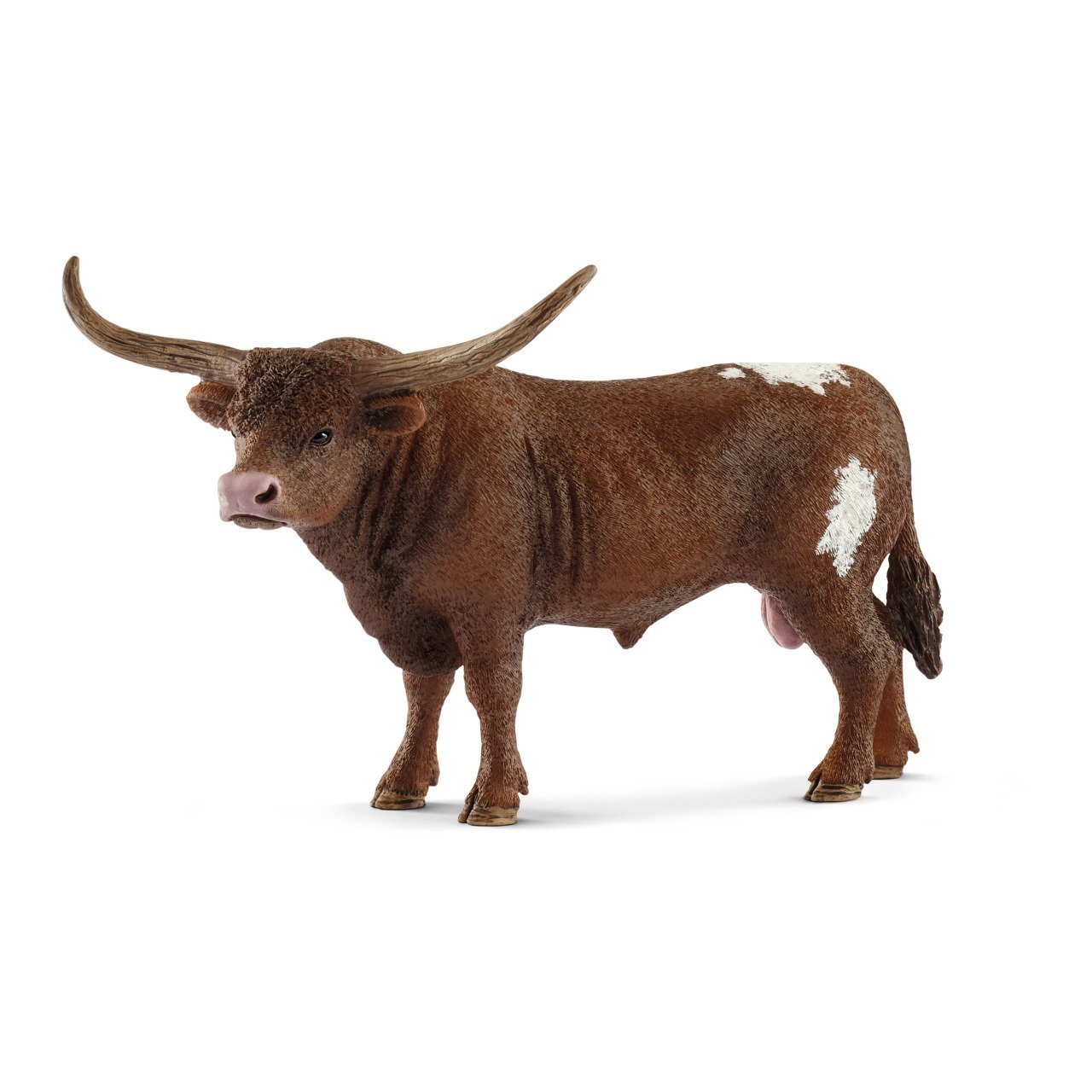 Texas Longhorn Boğa