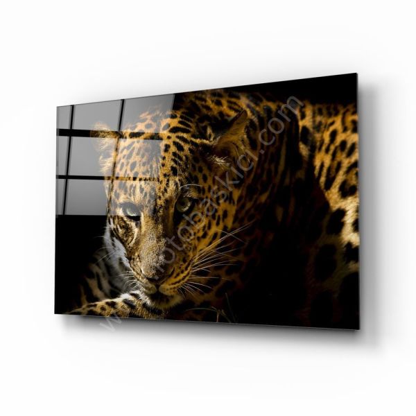 Leopar Cam Tablo No:1216