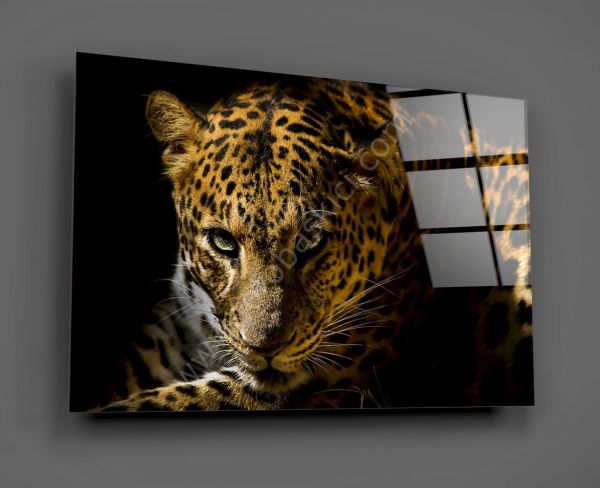Leopar Cam Tablo No:1216
