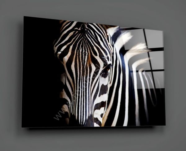 Zebra Cam Tablo No:1219