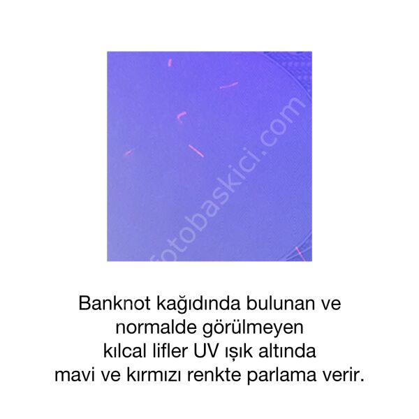 UV Mor Işıklı Sahte Para Feneri