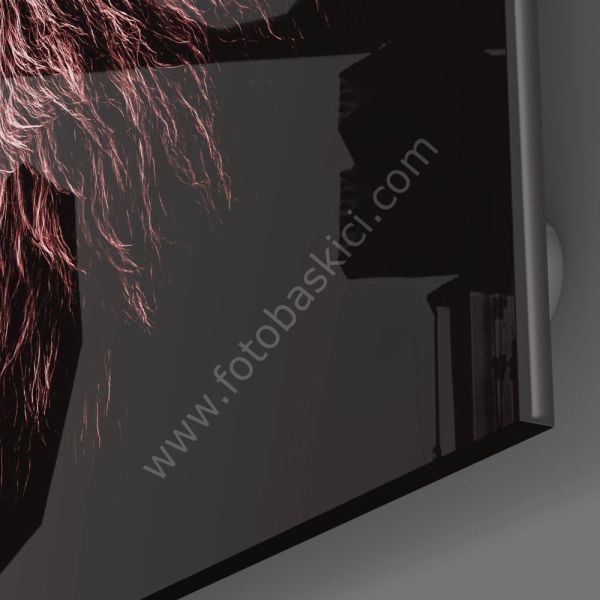 Aslan Cam Tablo No:5031