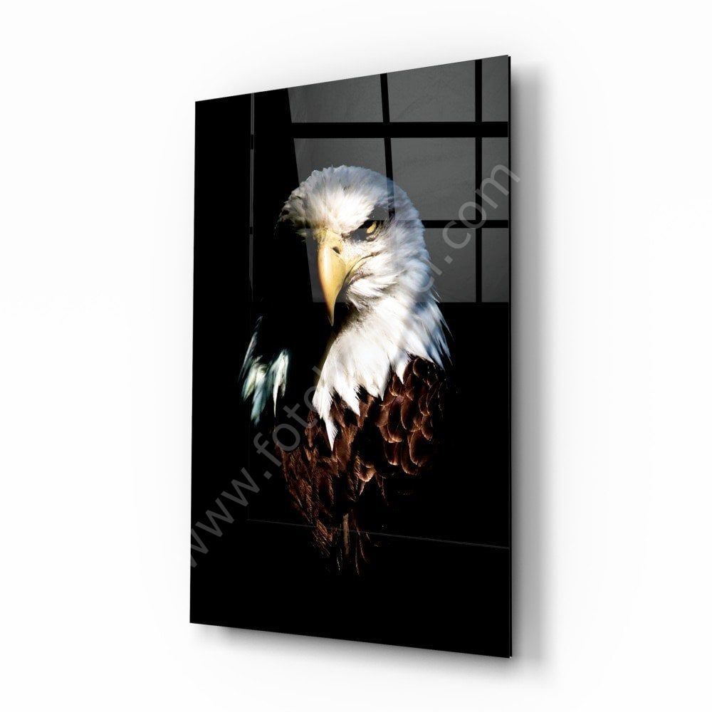 Kartal Cam Tablo No:5062