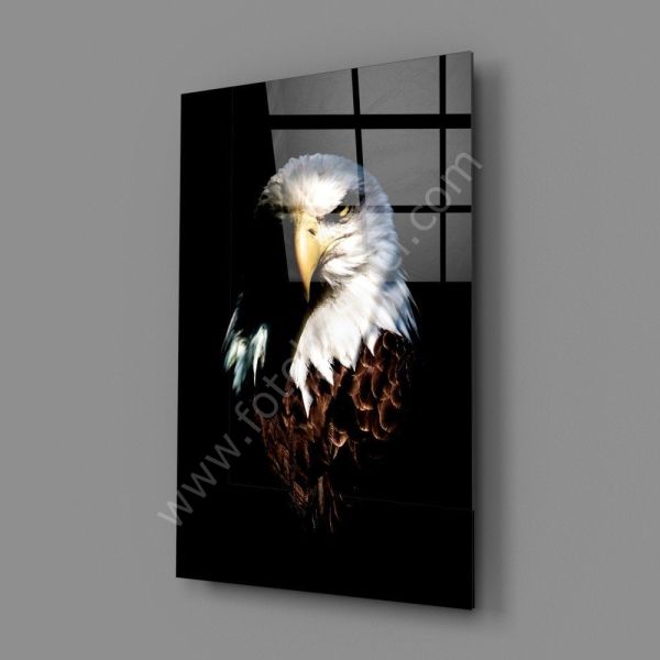 Kartal Cam Tablo No:5062