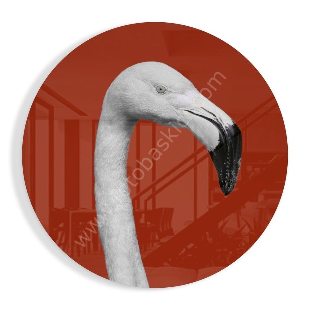 Flamingo Cam Tablo