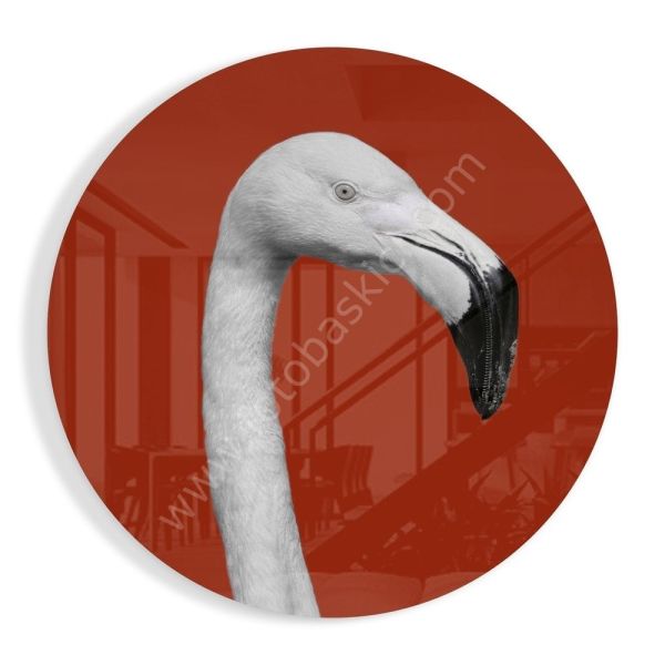 Flamingo Cam Tablo